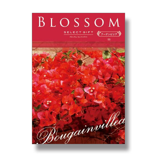 3,300円コース Blossom　BBコース