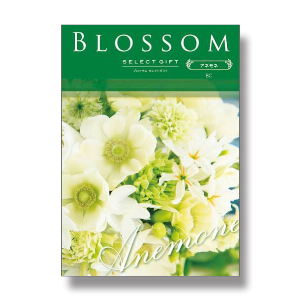 3,800円コース Blossom　BCコース