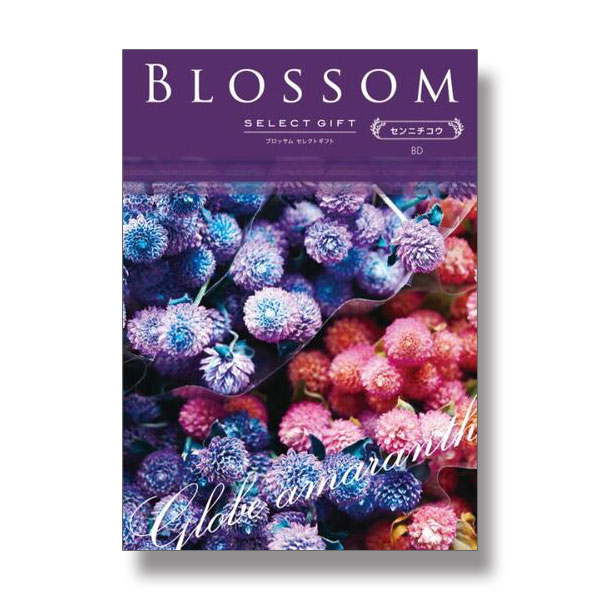 4,300円コース Blossom　BDコース