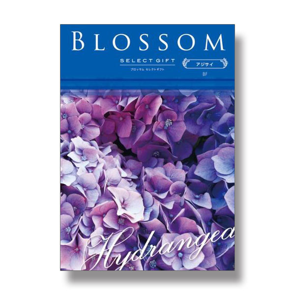 5,800円コース Blossom　BFコース