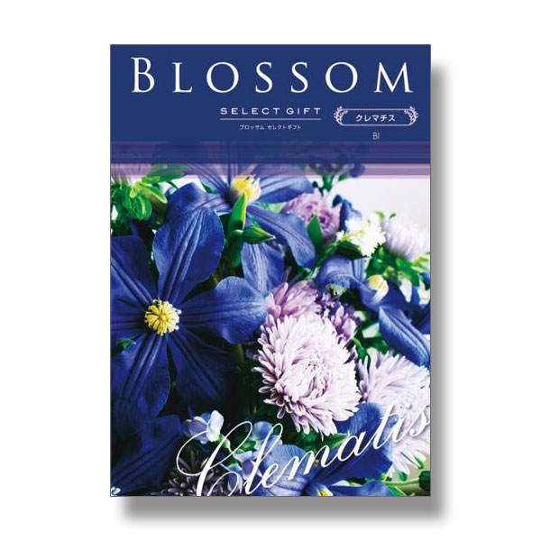15,800円コース Blossom　BIコース