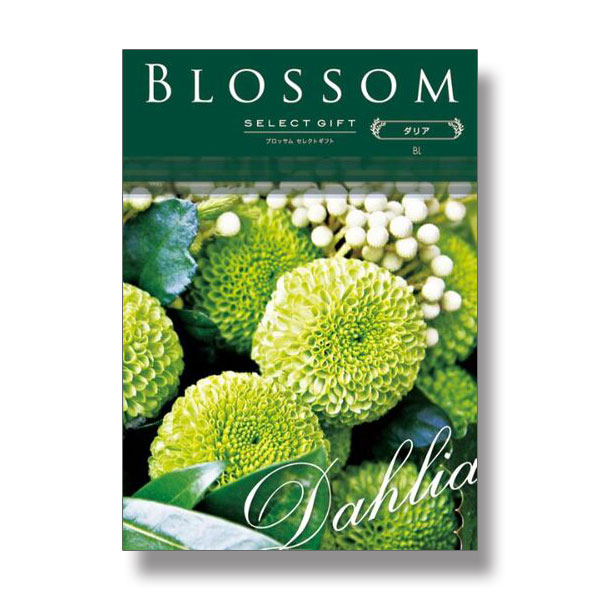 30,800円コース Blossom　BLコース