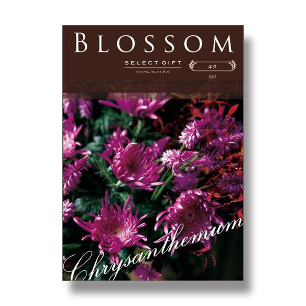 50,800円コース Blossom　BMコース